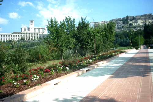 Foto della Strada Mattonata Foto Strada Mattonata
